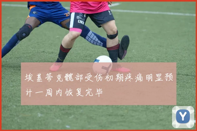 埃基蒂克髋部受伤初期疼痛明显预计一周内恢复完毕